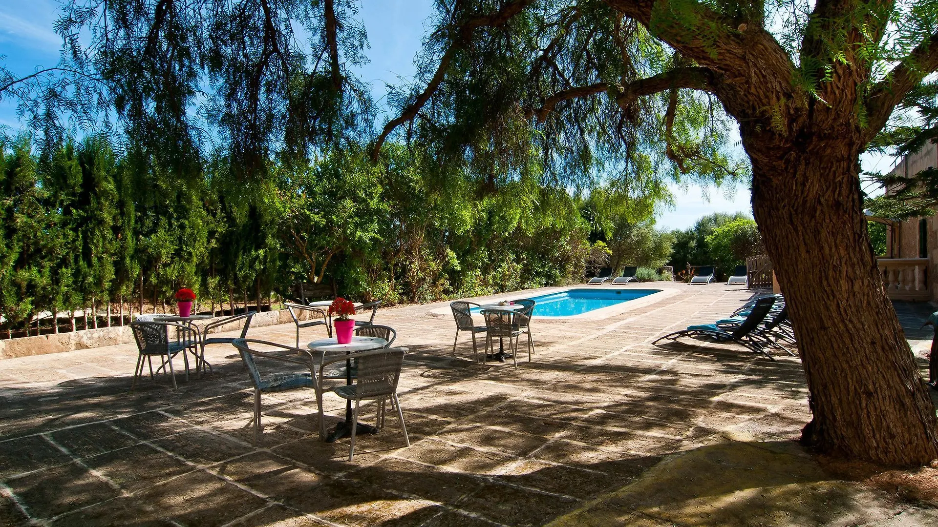 Son Sureda Apartment Manacor